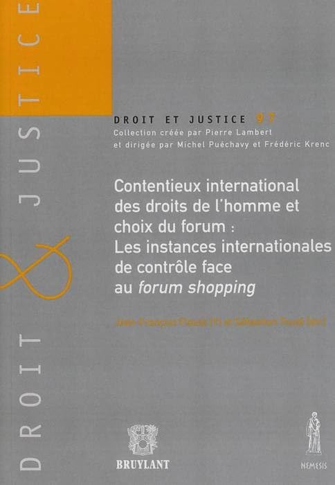 CONTENTIEUX INTERNATIONAL DES DROITS DE L'HOMME ET CHOIX DU FORUM : LES INSTANCE book