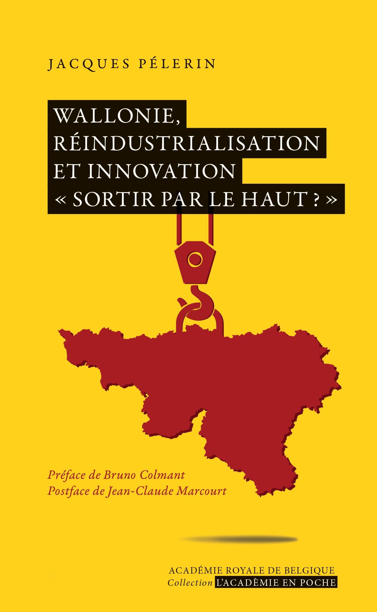 Wallonie, réindustrialisation et innovation "sortir par le haut ?" book