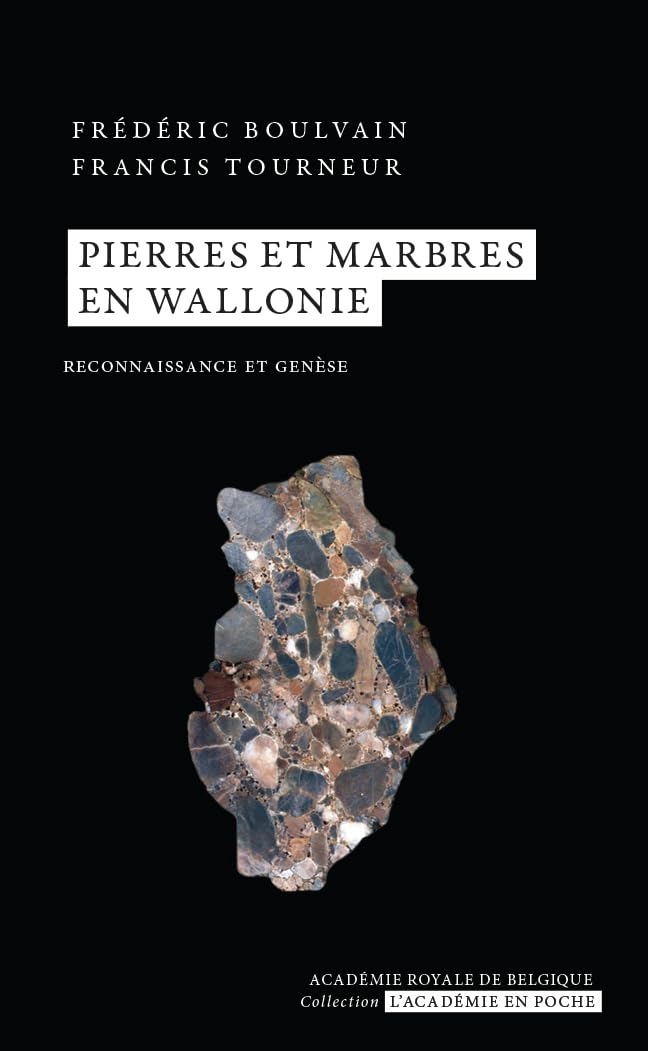 Pierres et marbres en Wallonie: Reconnaissance et genèse book