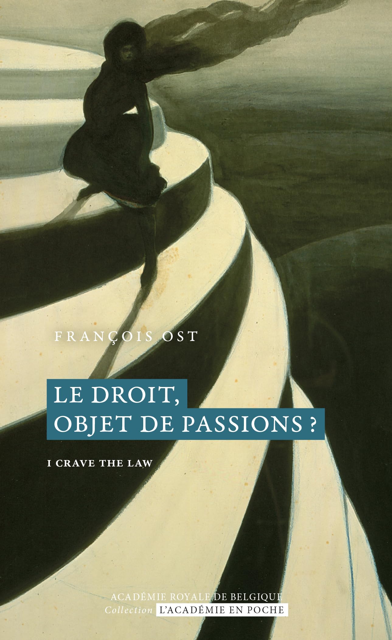 Le droit, objet de passions ?: I Crave the Law book