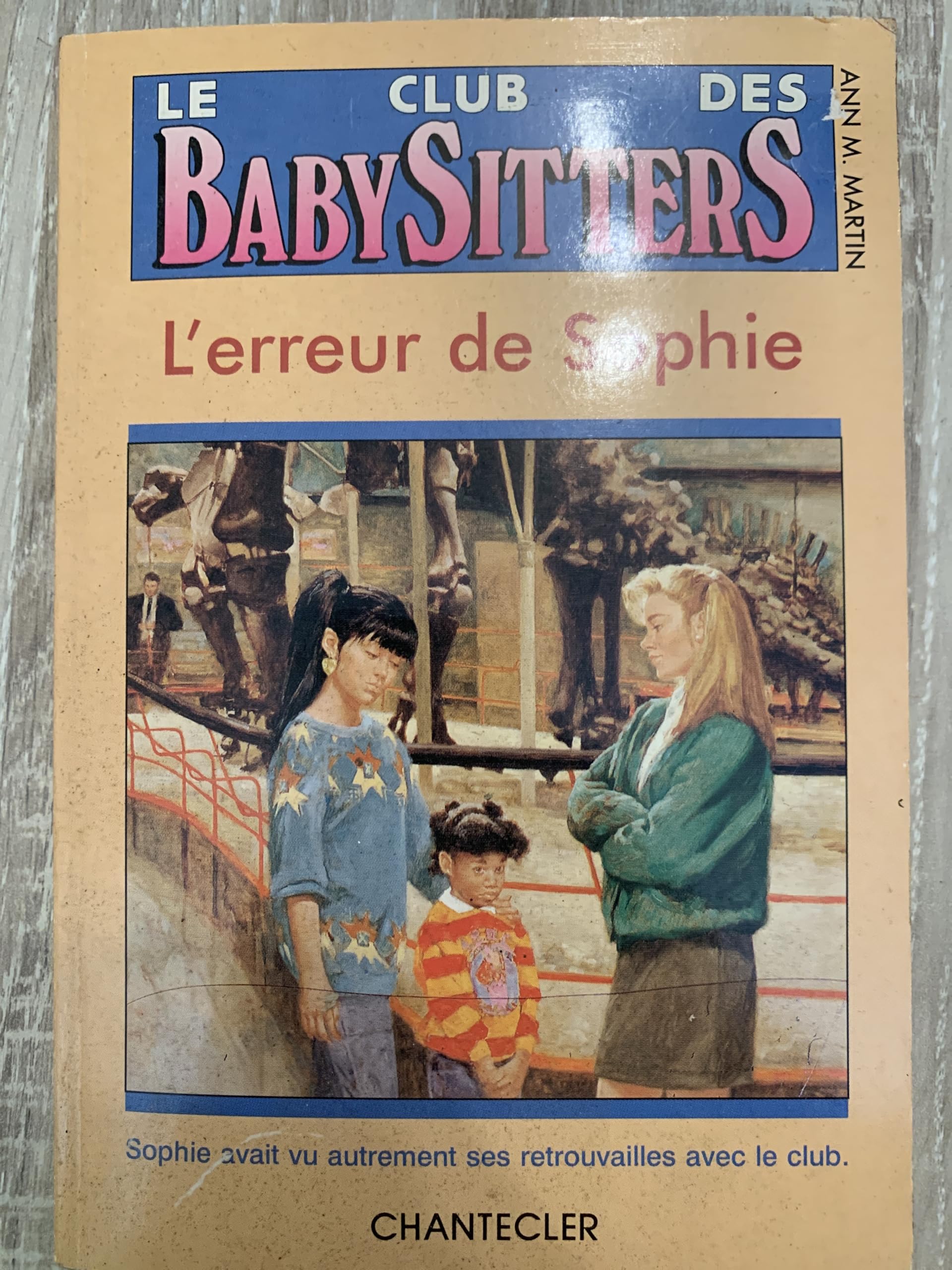 Club baby-sitters 18. L'erreur de Sophie book