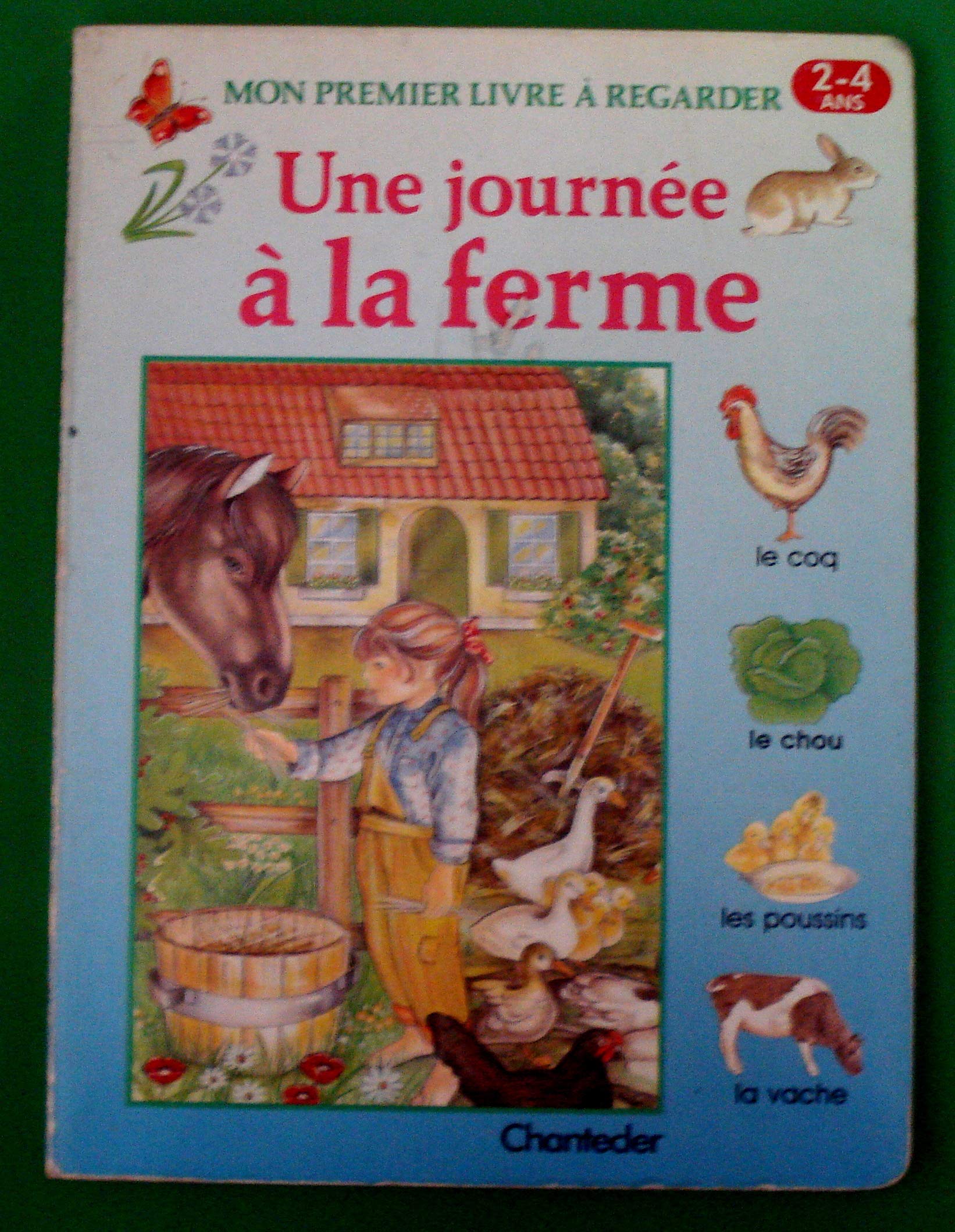 Mon premier livre à regarder - Une journée à la ferme book