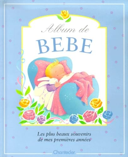 Album De Bebe. Les Plus Beaux Souvenirs De Mes Premieres Annees book