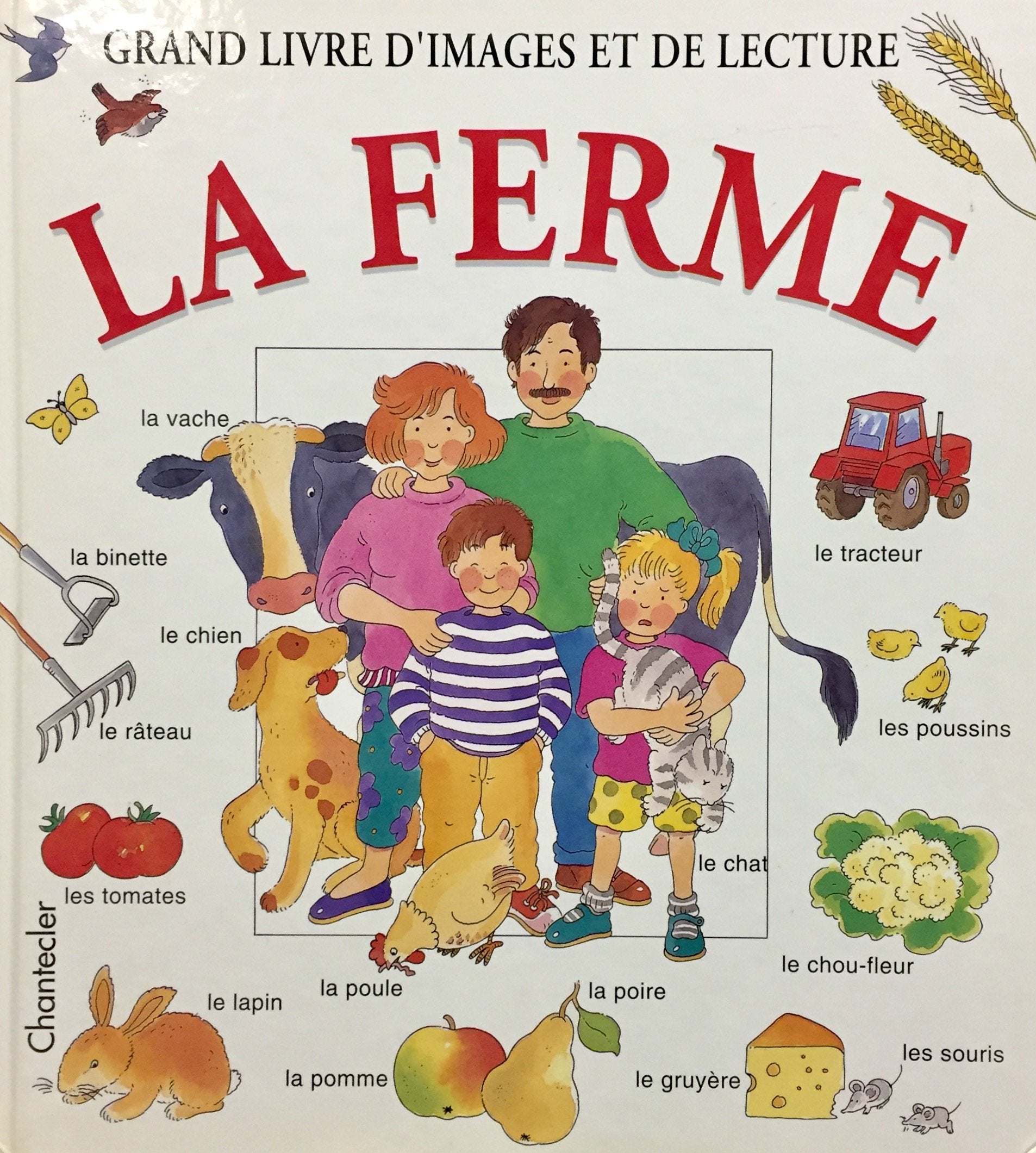 Grand livre d'images et de lecture la ferme Tiptoi & Games