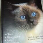 Vivre avec les chats: Choix, Alimentation, Soins, Psychologie, avec la description détaillée de toutes les races de chats book
