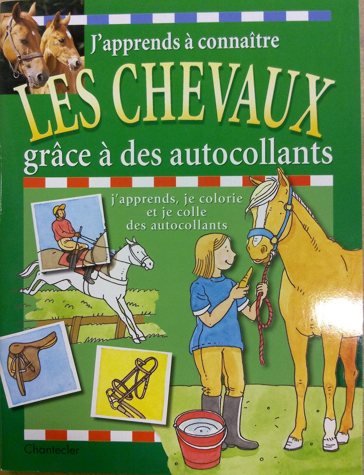 J'Apprends A Connaitre Les Chevaux Grace A Des Autocollants book