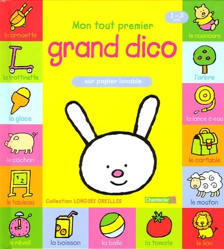 Mon tout premier grand dico book