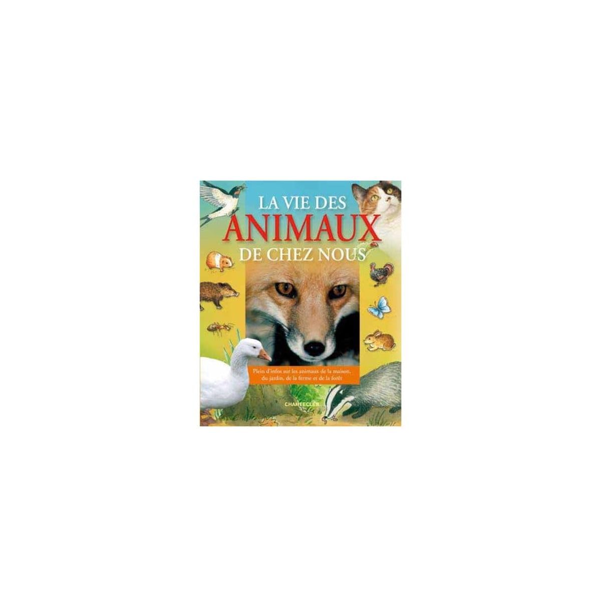 La vie des animaux de chez nous: Plein d'infos sur les animaux de la maison, du jardin, de la ferme et de la forêt Non-fiction
