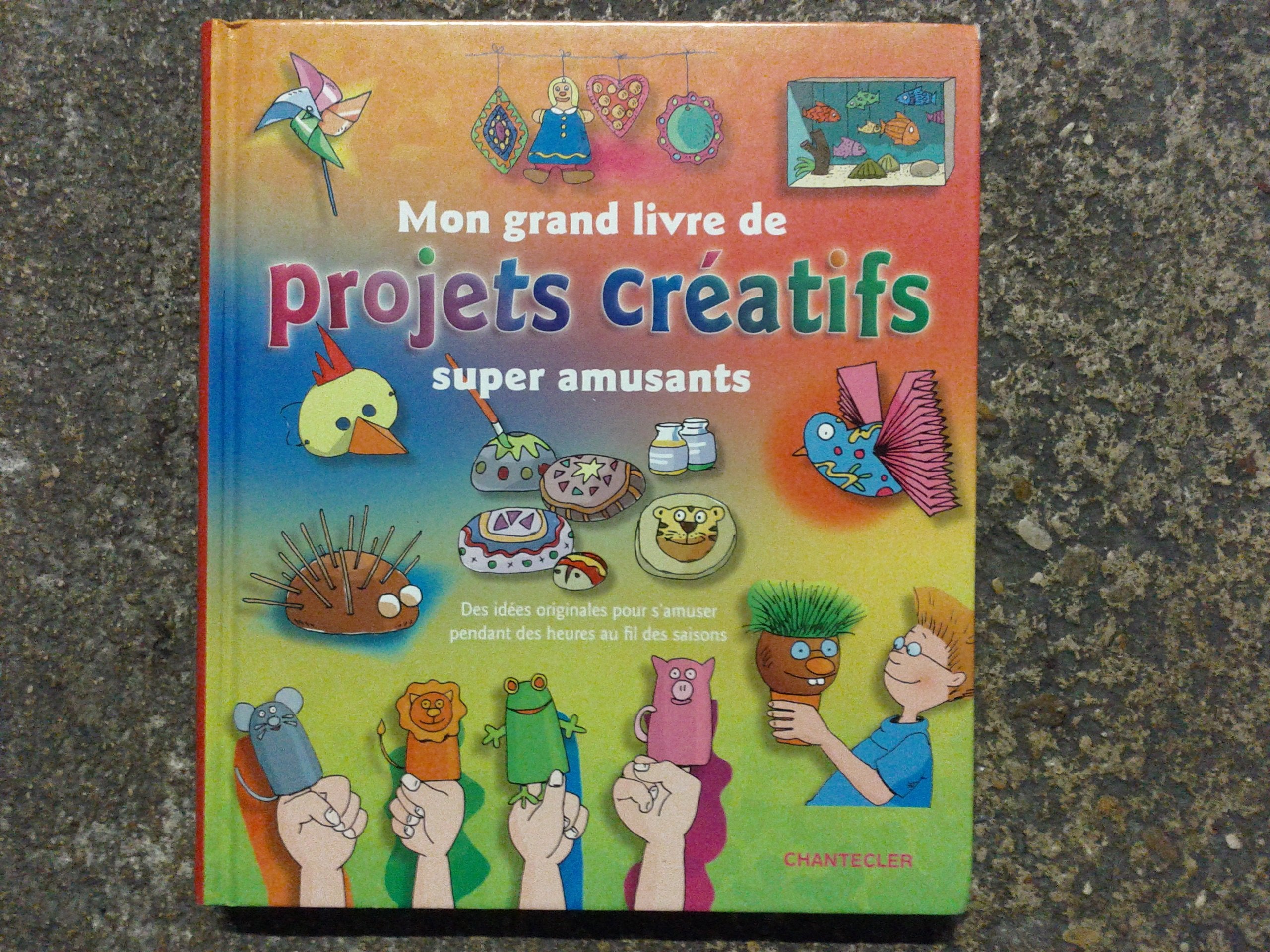 Mon grand livre de projets créatifs super amusants: Des idées originales pour s’amuser pendant des heures au fil des saisons book