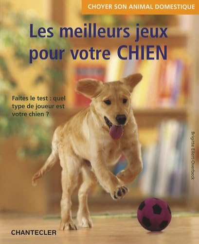 Choyer son animal dom.- Les meilleurs jeux pour votre chien: Faites le test : Quel type de joueur est votre chien ? Pets