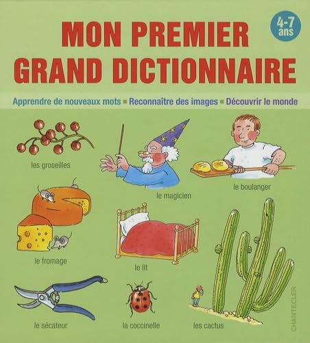 Mon premier grand dictionnaire (4-7 a.): Apprendre de nouveaux mots - Reconnaître des images - Découvrir le monde. Tiptoi & Games