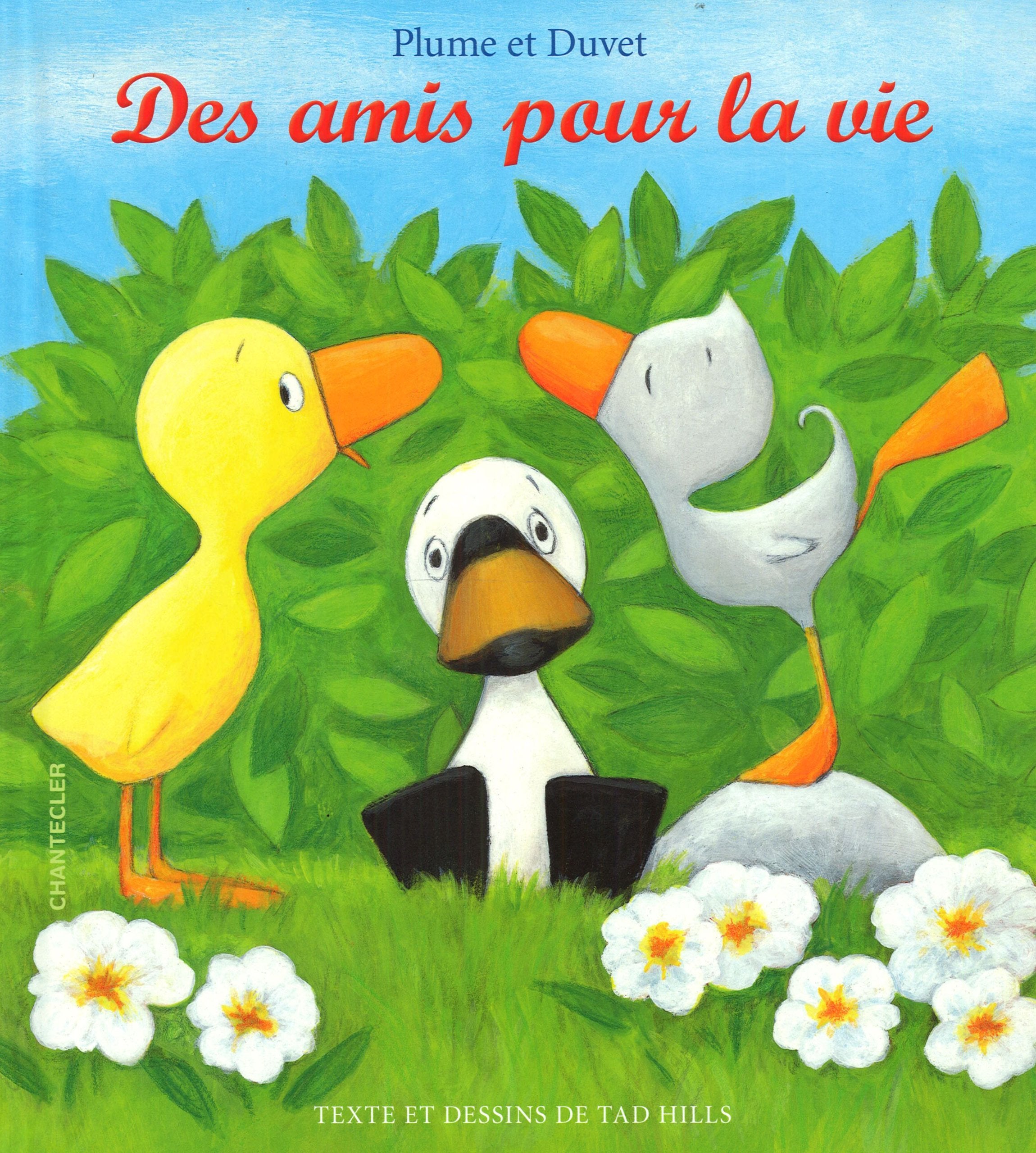 Plume et Duvet, des amis pour la vie book