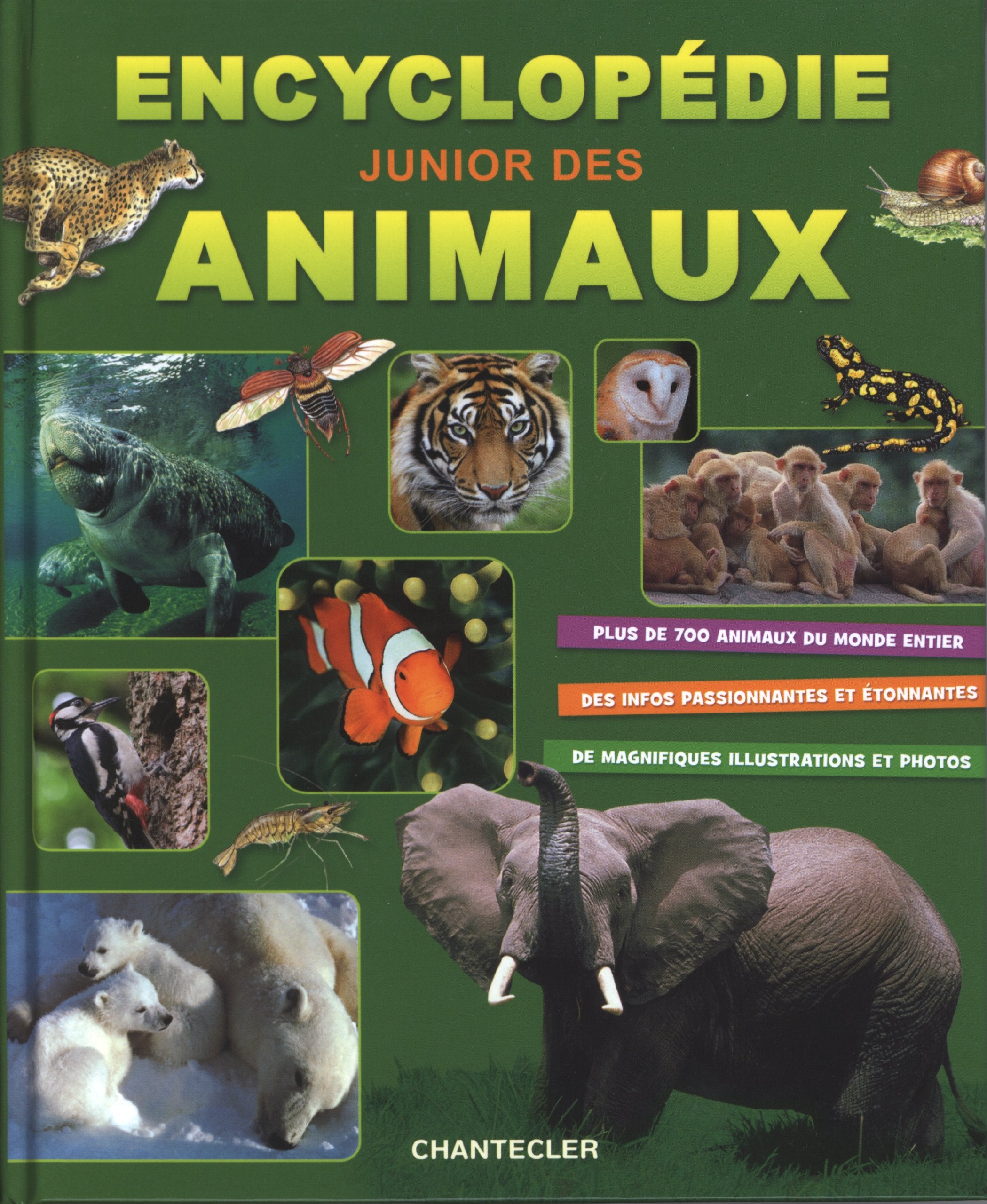 Encyclopédie junior des animaux: Plus de 700 animaux du monde entier - De magnifiques illustrations et photos - Des infos passionnantes et étonnantes Non-fiction
