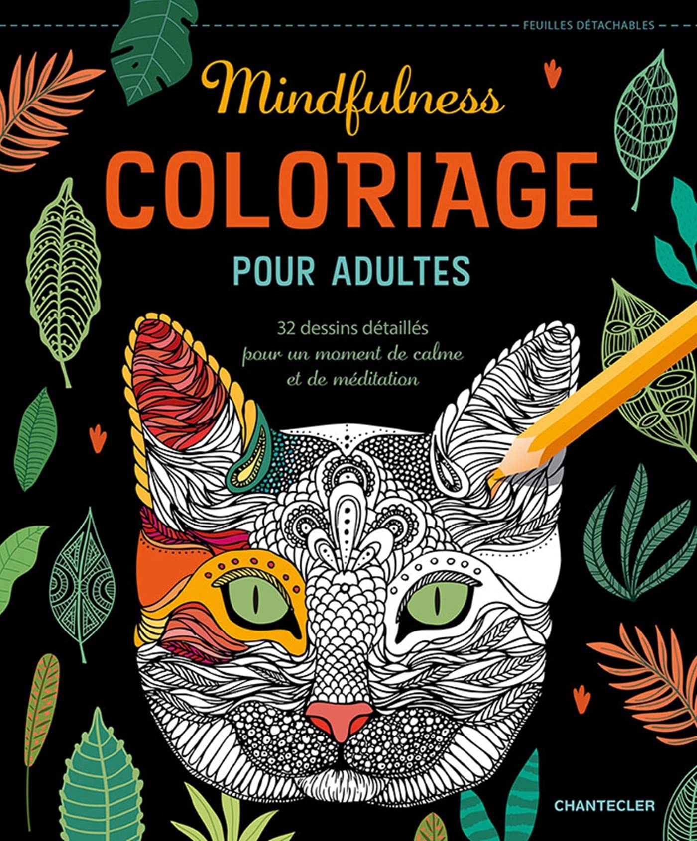 COLORIAGE POUR ADULTES - MINDFULNESS book