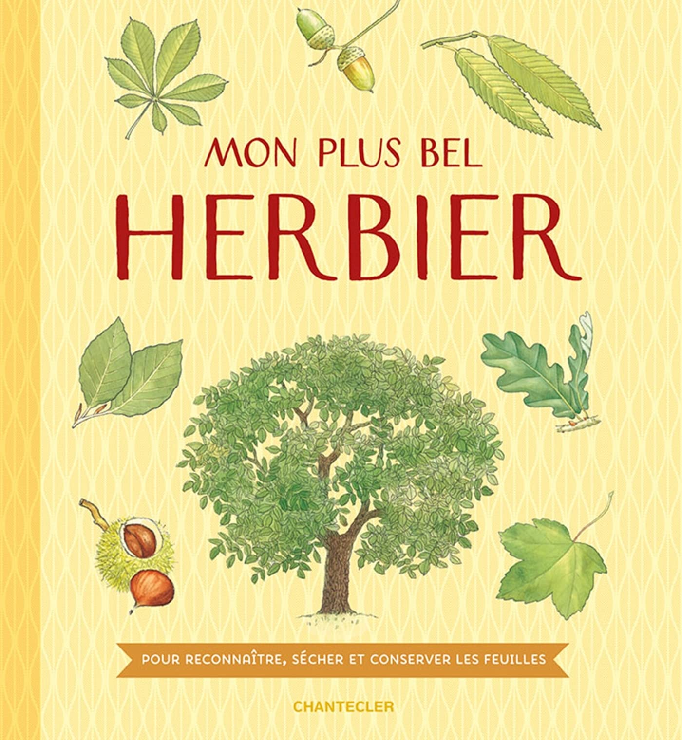 Mon plus bel herbier - collectionner des feuilles: Pour reconnaître, sécher et conserver les feuilles book