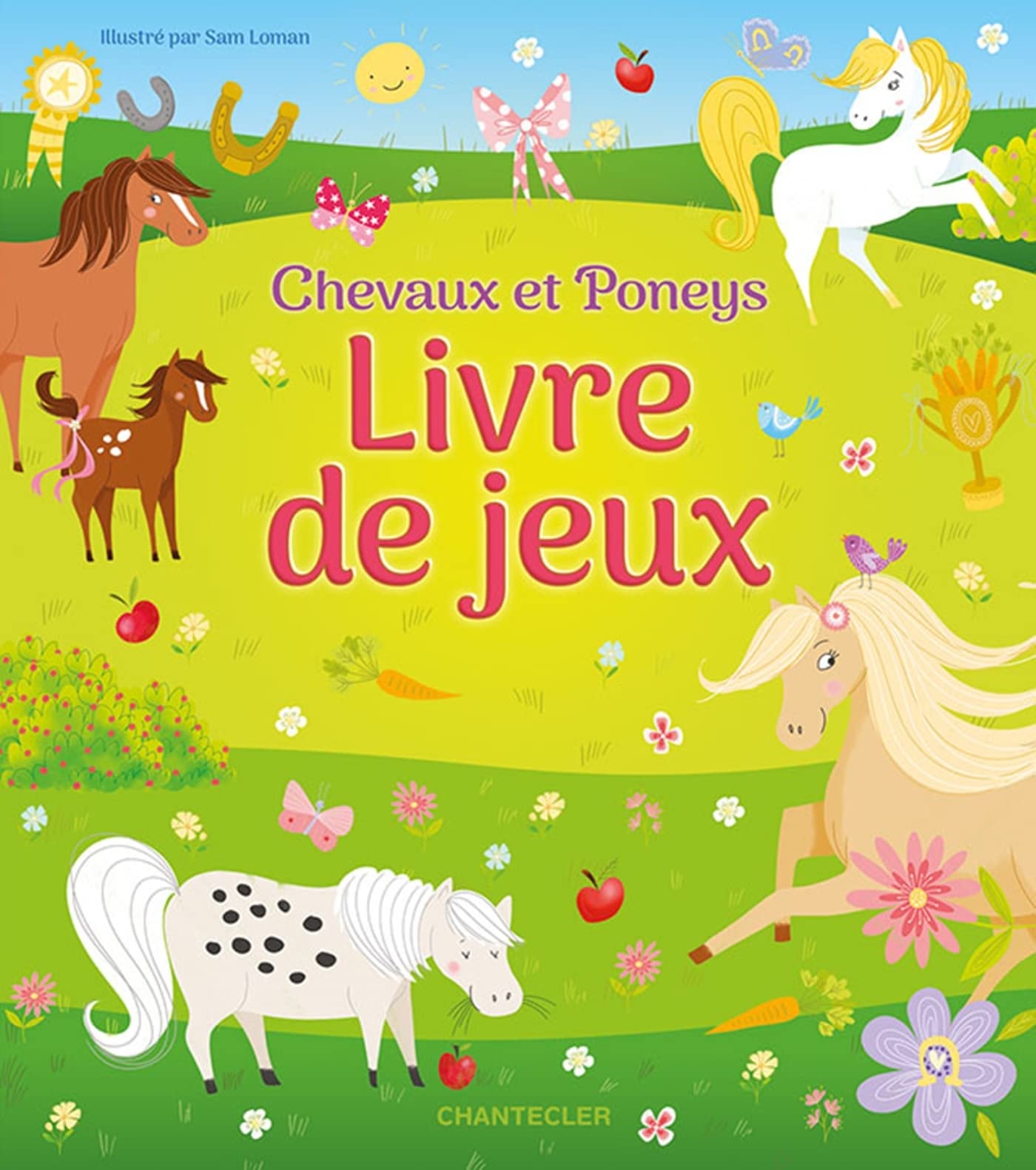 CHEVAUX ET PONEYS - LIVRE DE JEUX book