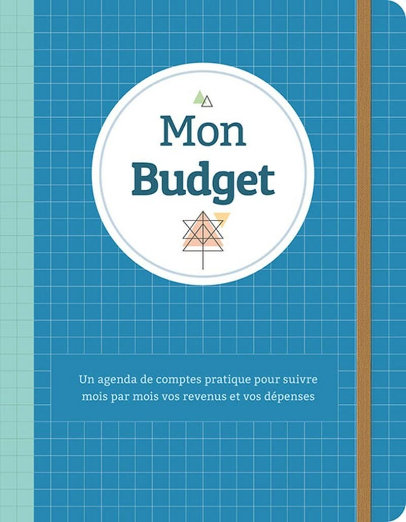 Carnet de notes - Mon budget (bleu): Un agenda de comptes pratique pour suivre mois par mois vos revenus et vos dépenses book