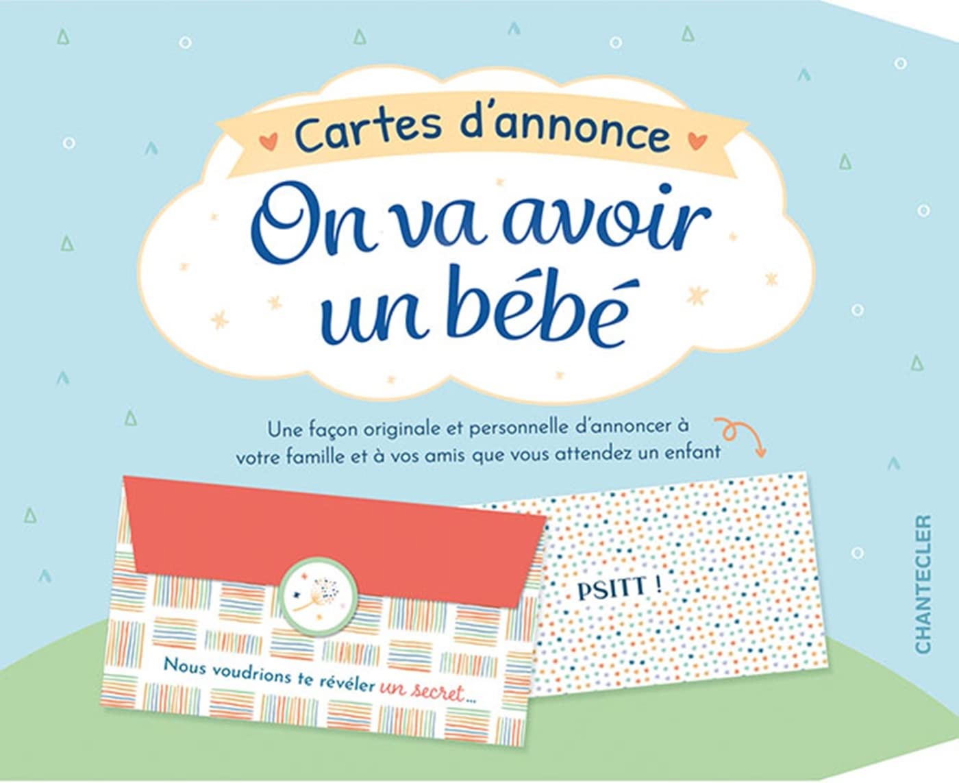 On va avoir un bébé - cartes d'annonce book