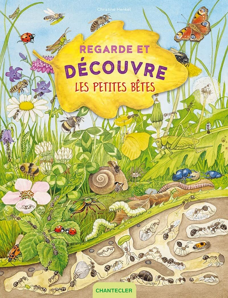Regarde et découvre - Les petites bêtes book