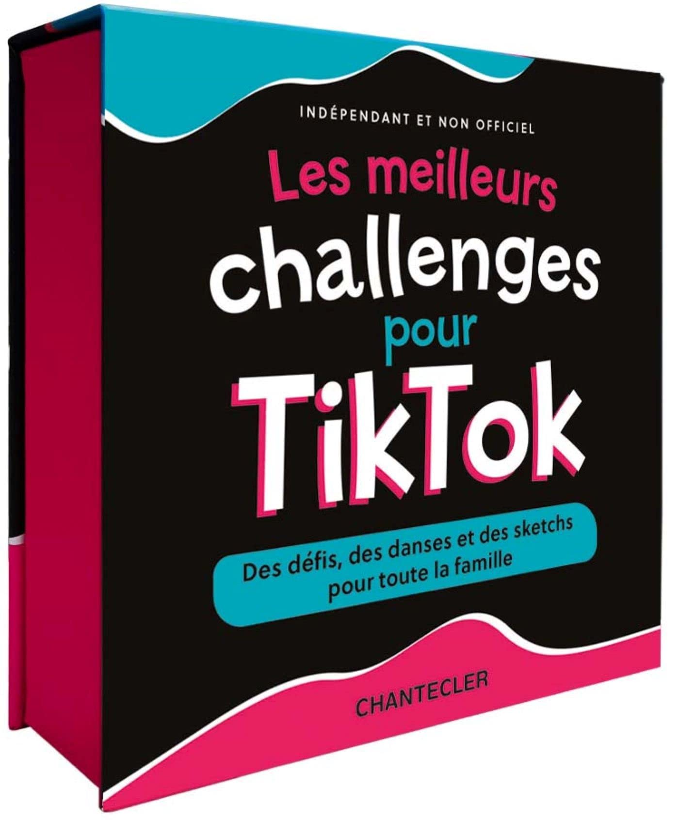 Les meilleurs challenges pour TikTok book