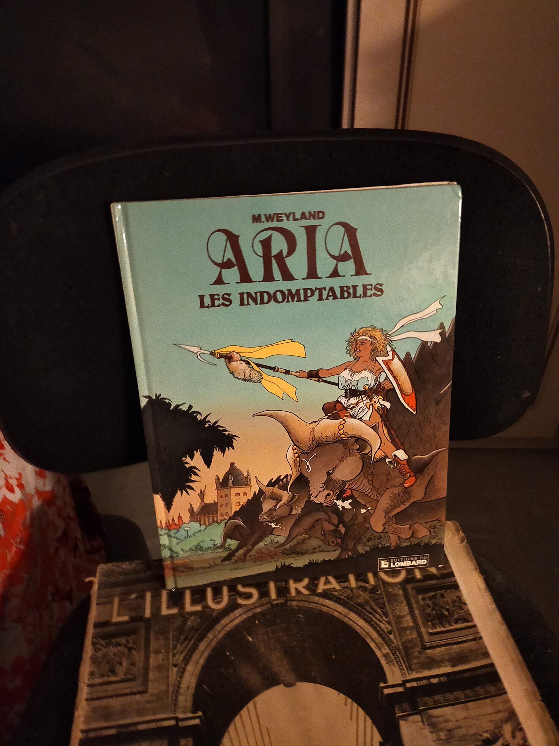 Les Indomptables: Une histoire du journal "Tintin" Books