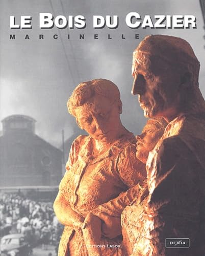 Le Bois du Cazier: Marcinelle book