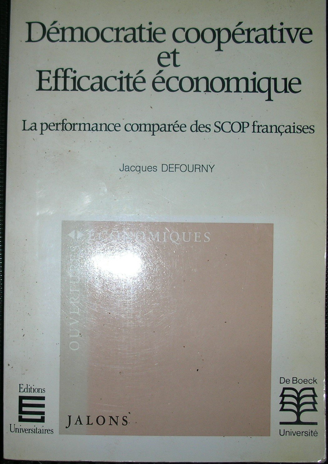 Démocratie coopérative et efficacité économique : la performance comparée des scop françaises book