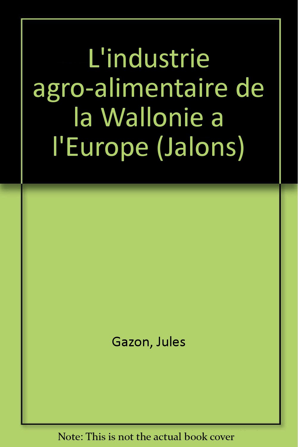 L'Industrie agro-alimentaire : de la Wallonie à l'Europe 93 book