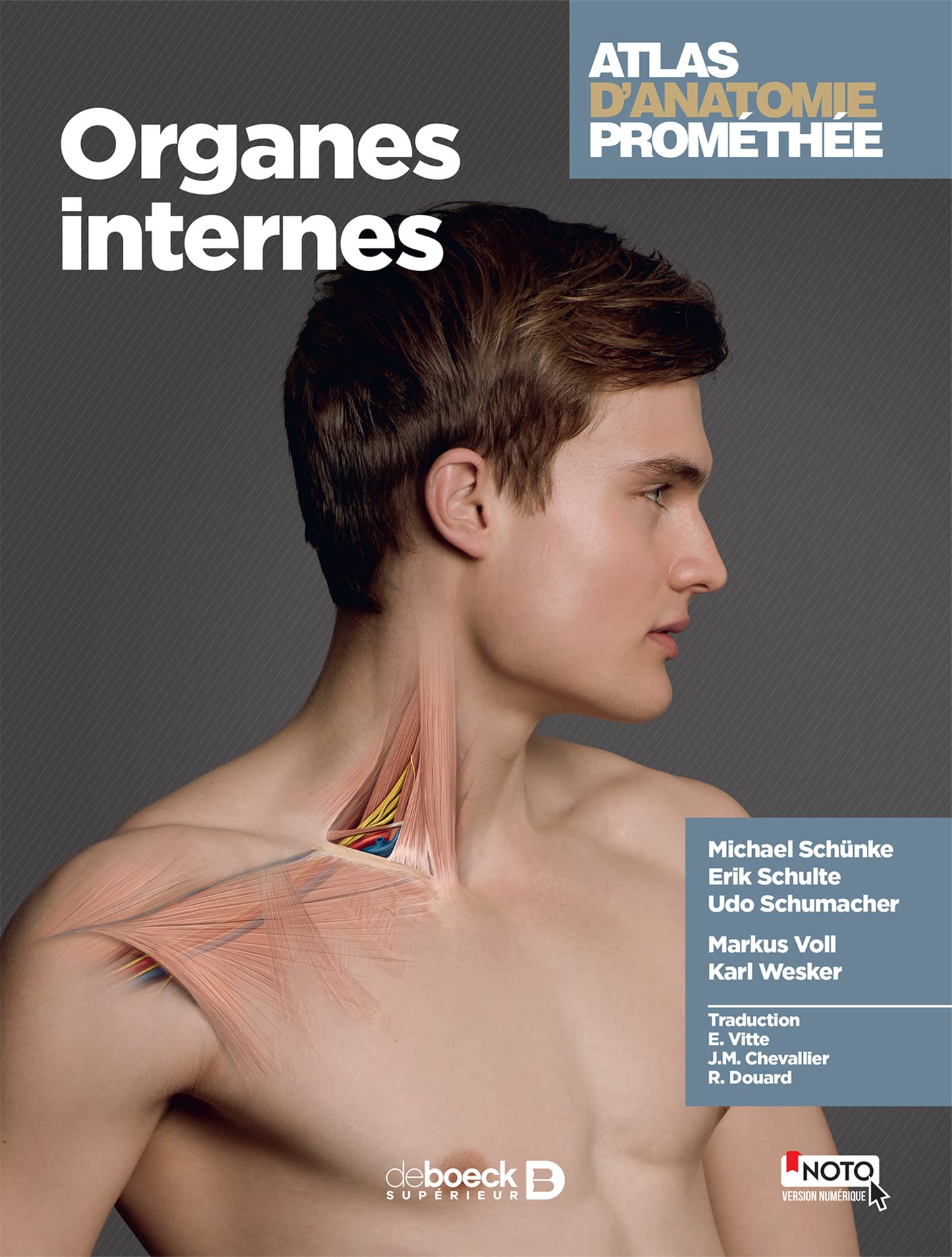 Atlas d'anatomie Prométhée: Organes internes Medicine
