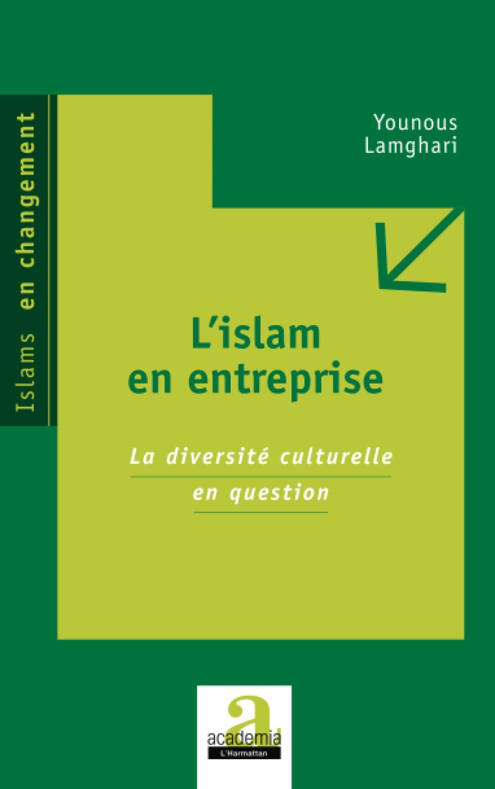 L'islam en entreprise: La diversité culturelle en question book