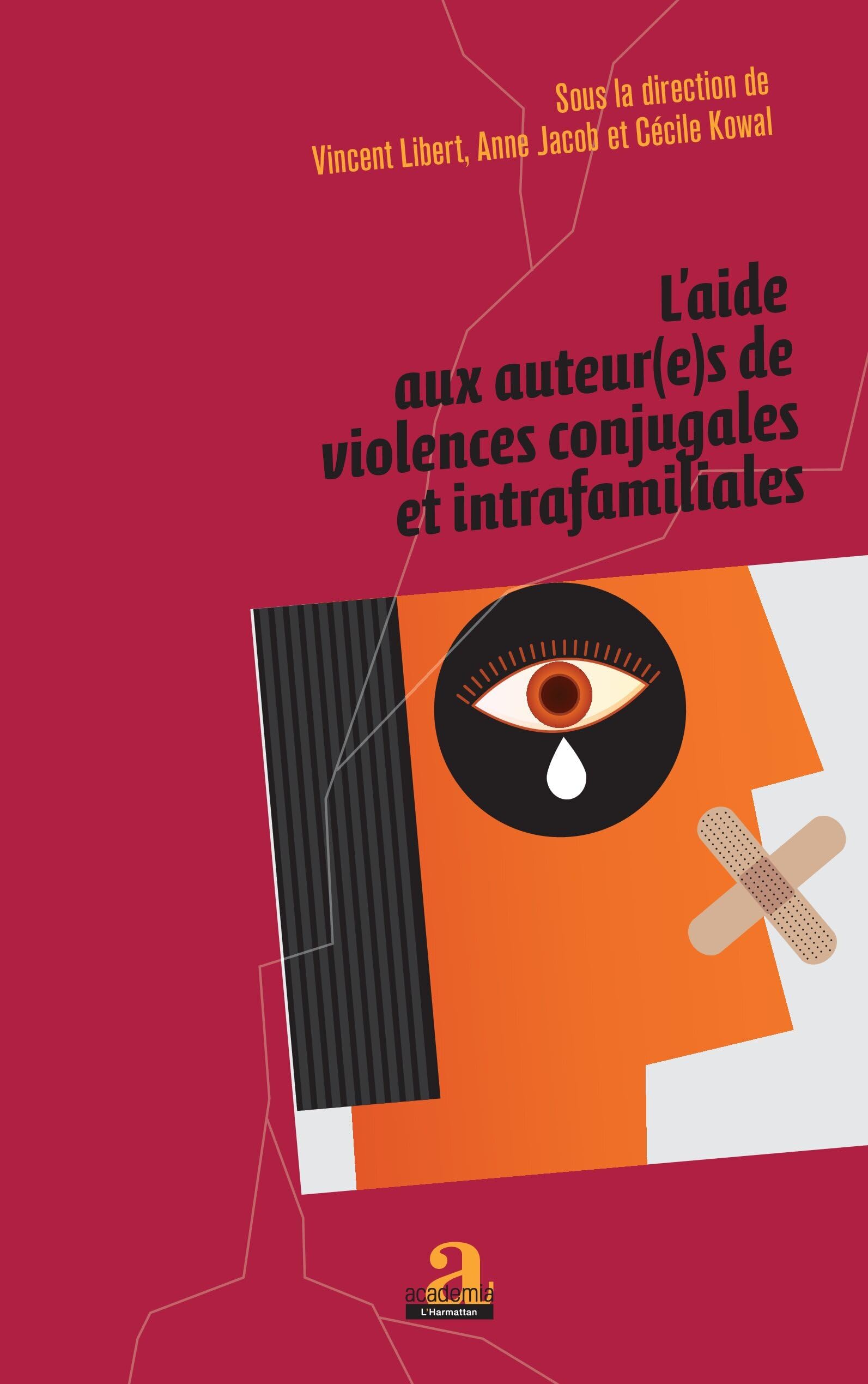 L'aide aux auteur(e)s de violences conjugales et intrafamiliales book