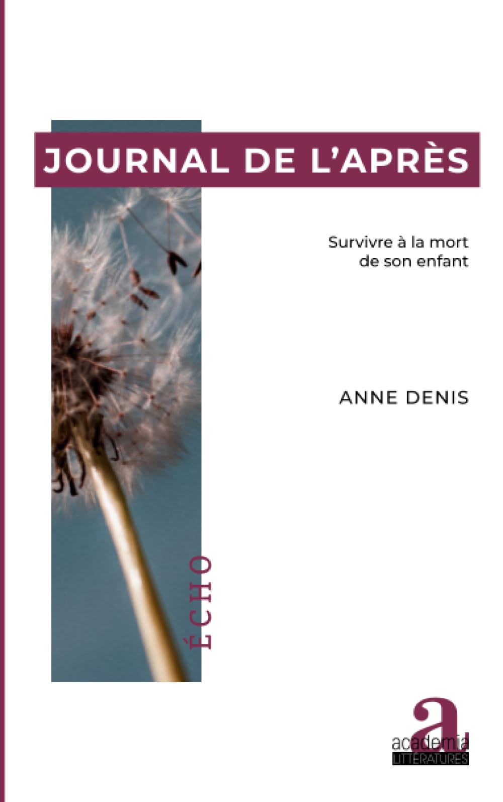 Journal de l'après: Survivre à la mort de son enfant book