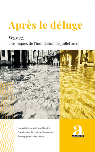 Après le déluge : Wavre, chroniques de l'inondation de juillet 2021 Contemporary literature