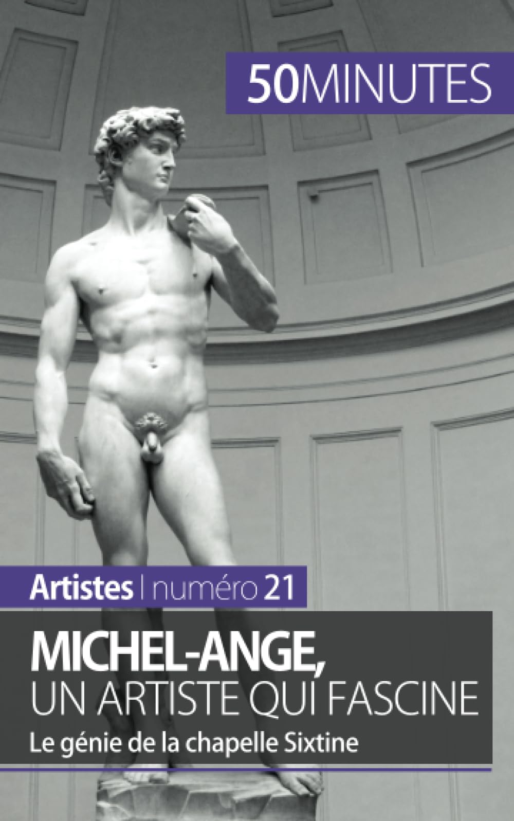 Michel-Ange, un artiste qui fascine : Le génie de la chapelle Sixtine book