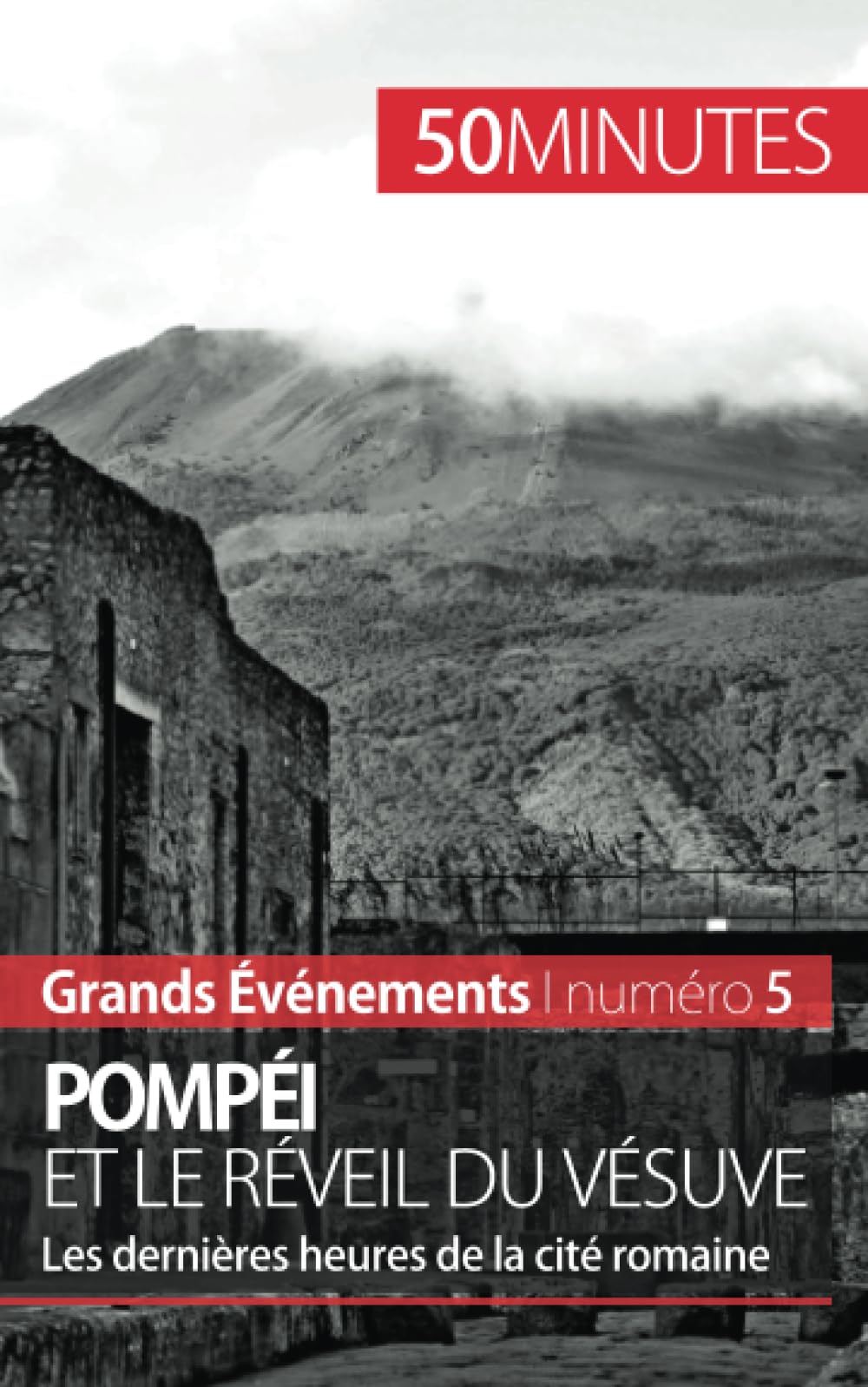 Pompéi et le réveil du Vésuve : Les dernières heures de la cité romaine book
