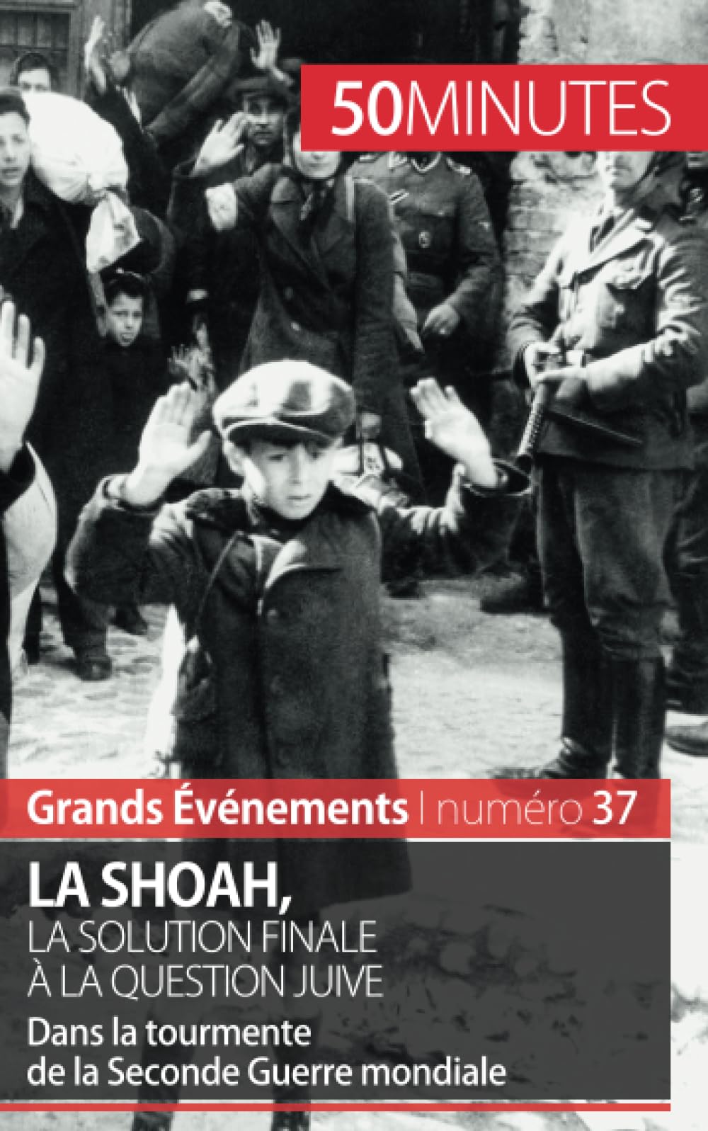 La Shoah, la solution finale à la question juive : Dans la tourmente de la Seconde Guerre mondiale book