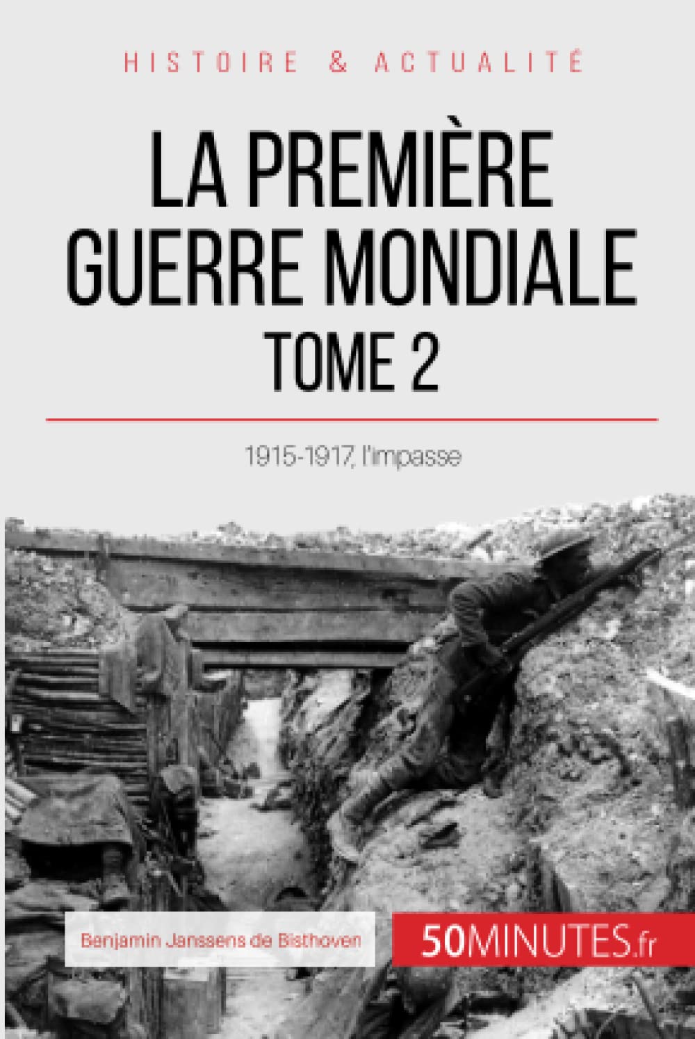 La Première Guerre mondiale (Tome 2) : 1915-1917, l’impasse book