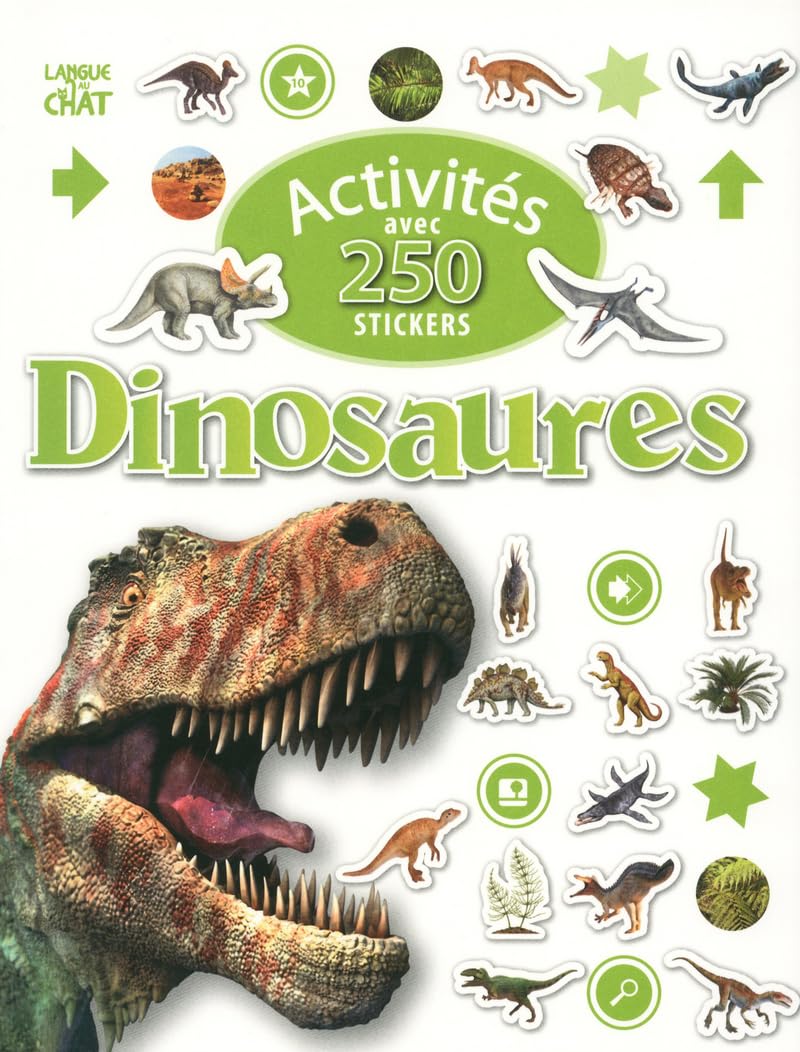 ACTIVITES AVEC 250 STICKERS DI book