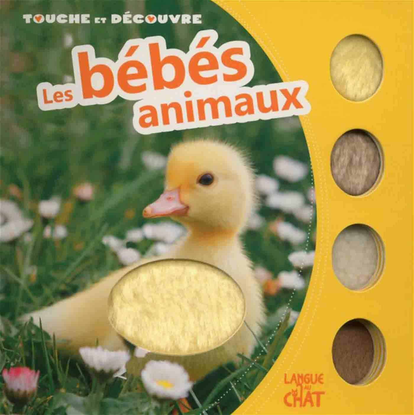 Touche et découvre - Les bébés animaux book