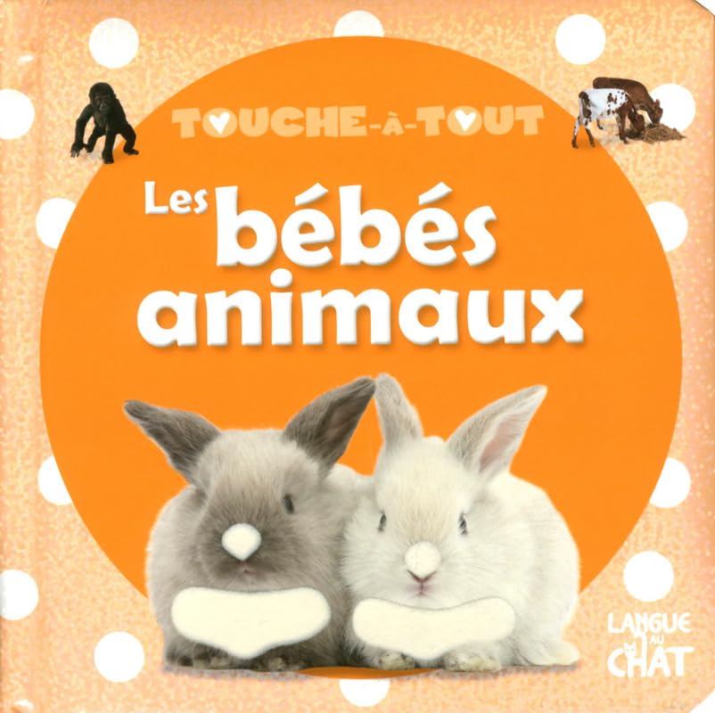 Touche-à-tout - Les bébés animaux book