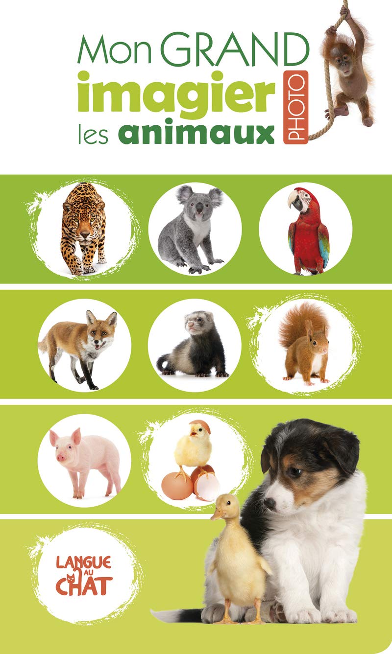 Mon grand imagier photo - Les animaux Non-fiction