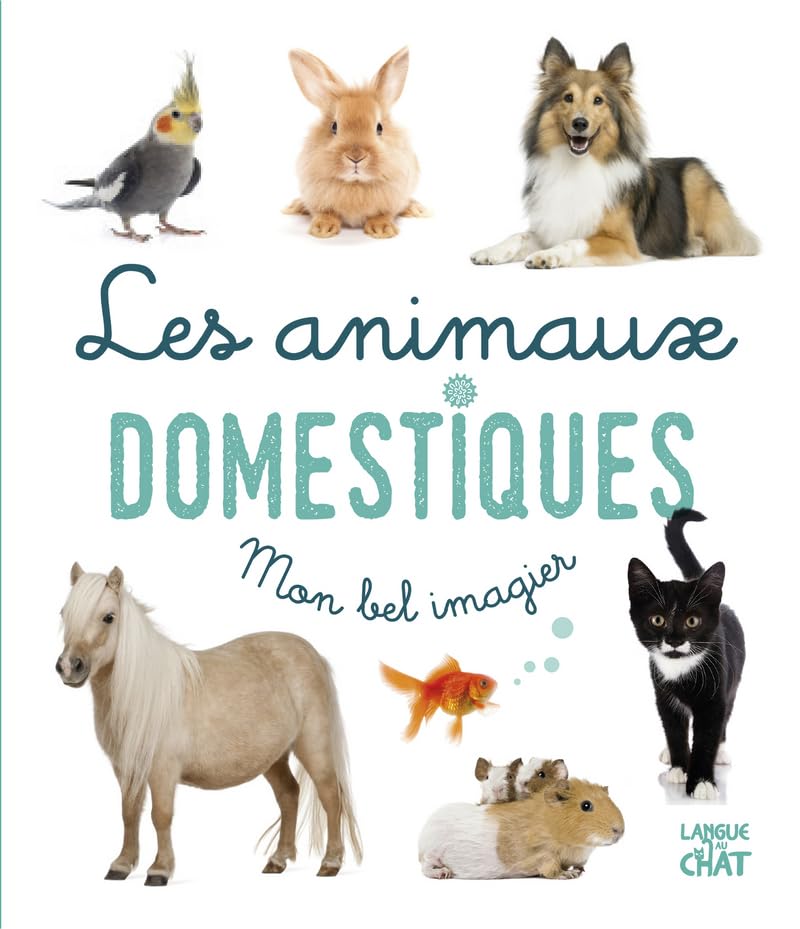 Mon bel imagier photo - Les animaux domestiques - Livre d'éveil imagier photo - Dès 6 mois Babies & Toddlers