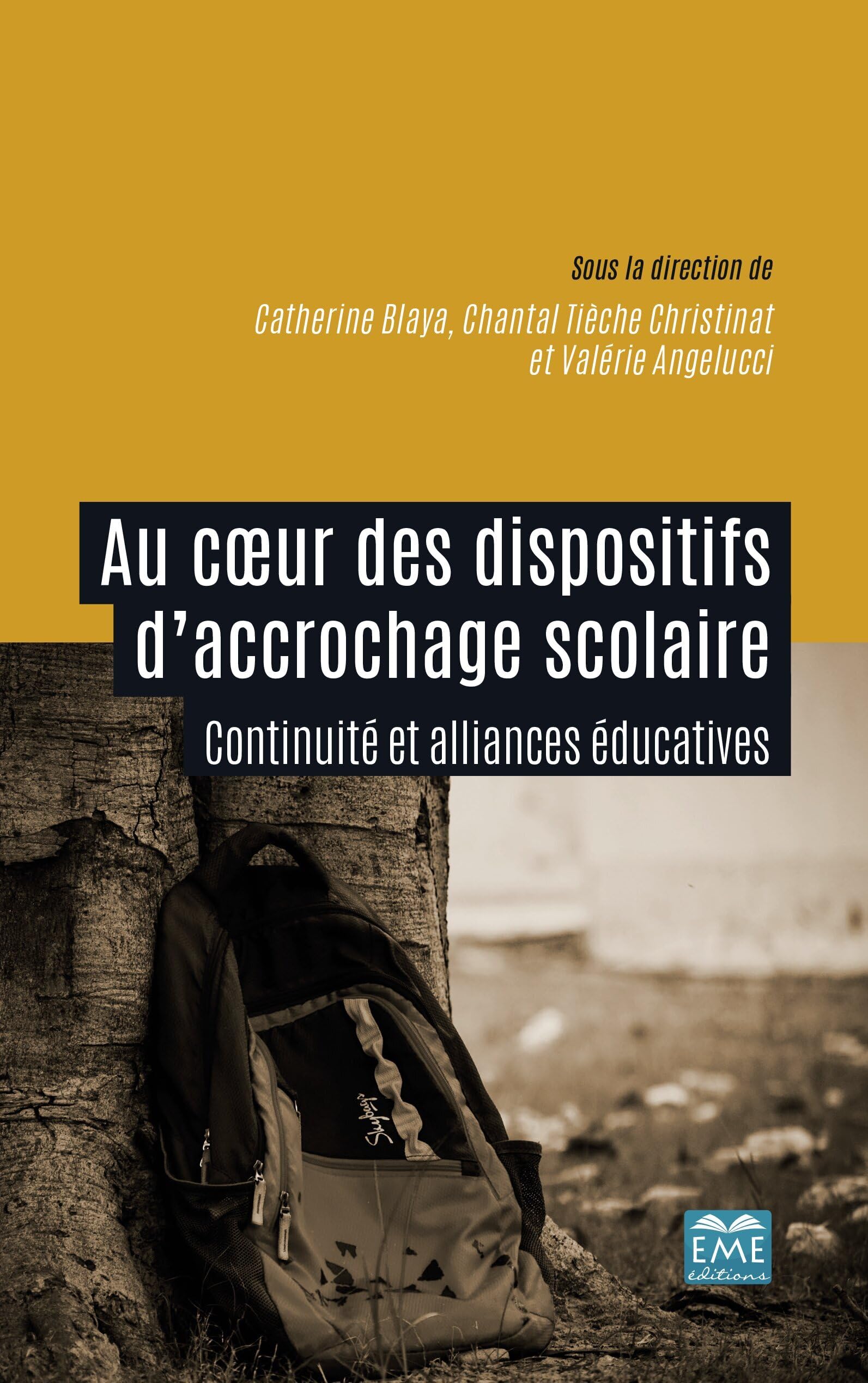 Au coeur des dispositifs d'accrochage scolaire: Continuité et alliances éducatives book