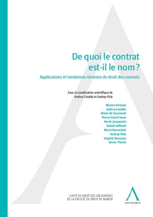 DE QUOI LE CONTRAT EST-IL LE NOM ?: APPLICATIONS ET TENDANCES RECENTES DU DROIT DES CONTRATS book