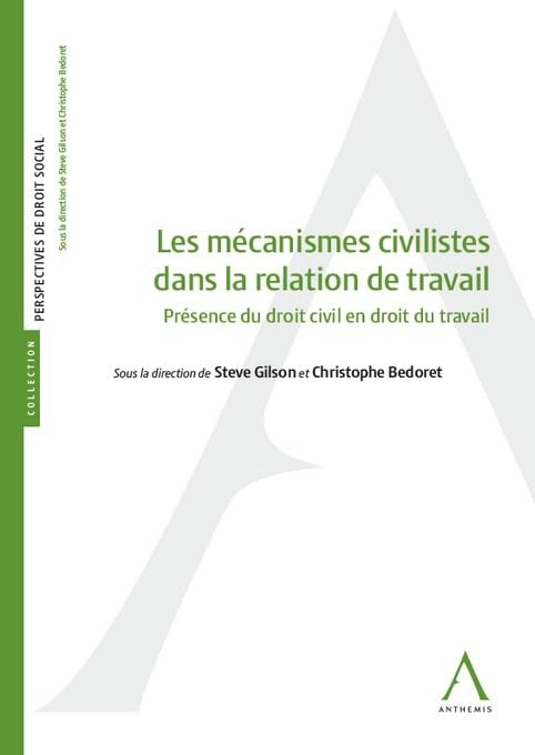 Les mécanismes civilistes dans la relation de travail: Présence du droit civil en droit du travail book