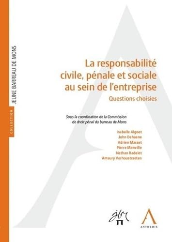 La responsabilité civile, pénale et sociale au sein de l'entreprise book