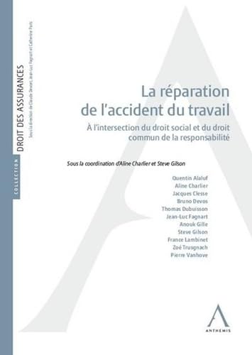 La réparation de l'accident du travail: À l'intersection du droit social et du droit commun de la responsabilité book