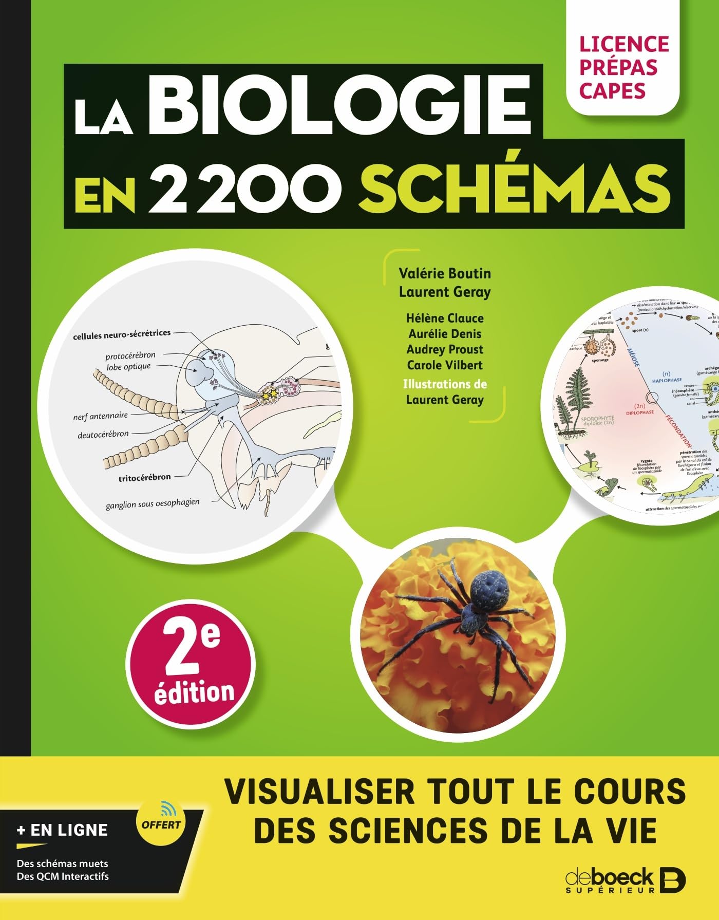 Biologie en 2200 schémas: Licence, prépas, Capes Professional & Reference Books
