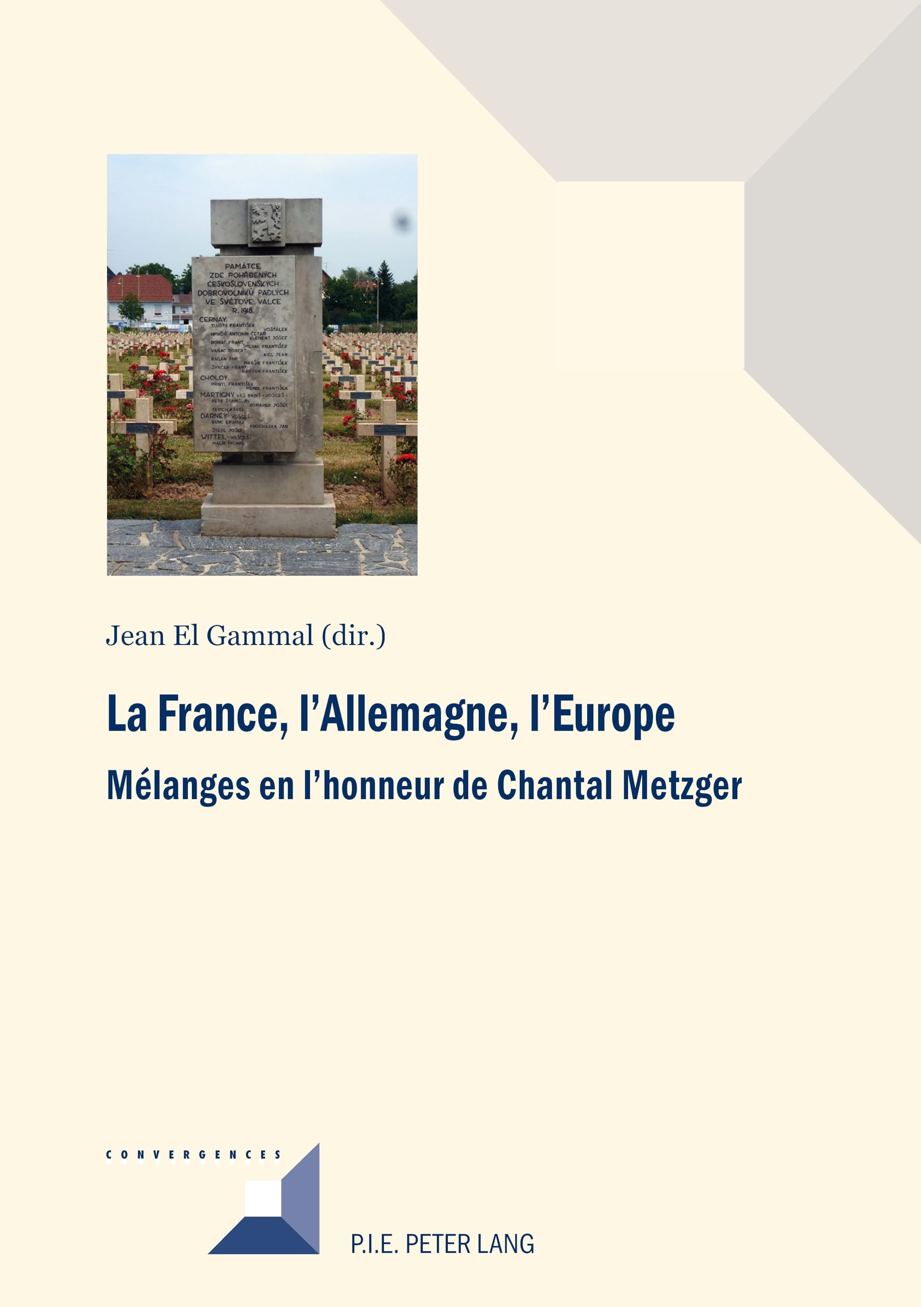 La France, l'Allemagne, l'Europe: Mélanges en l'honneur de Chantal Metzger book
