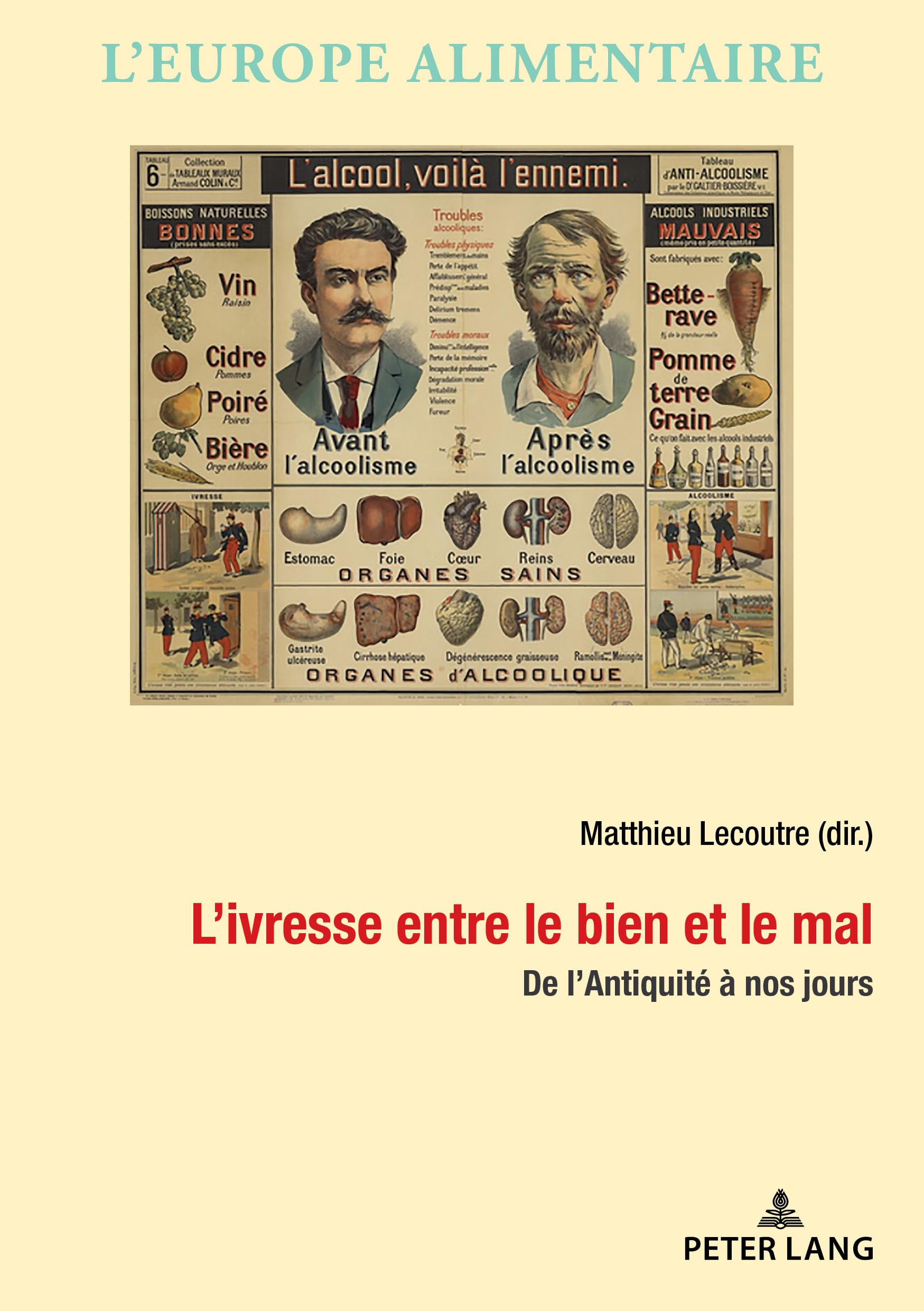 L'ivresse entre le bien et le mal: De l'Antiquité à nos jours book